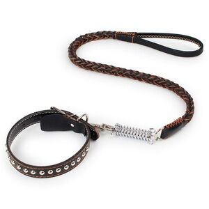 Braided Brown & Black Leather Dog Leash with Studded Collar
